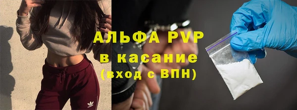 стафф Каменногорск