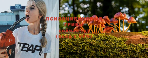 стафф Каменногорск