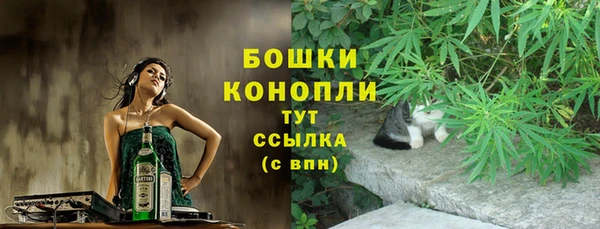стафф Каменногорск