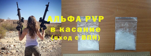 стафф Каменногорск