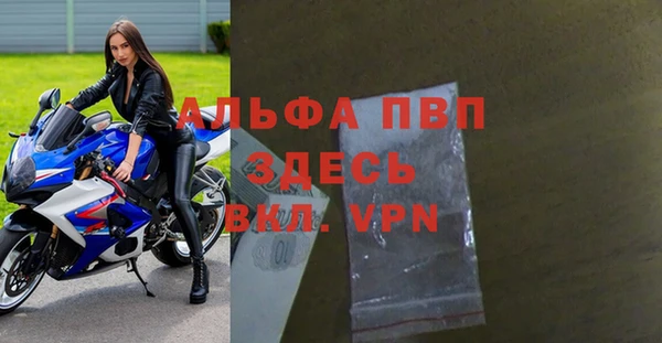 стафф Каменногорск