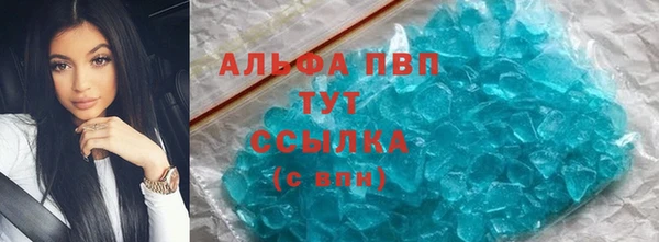 стафф Каменногорск