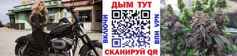 МАРИХУАНА конопля  Купить где  Заволжск 